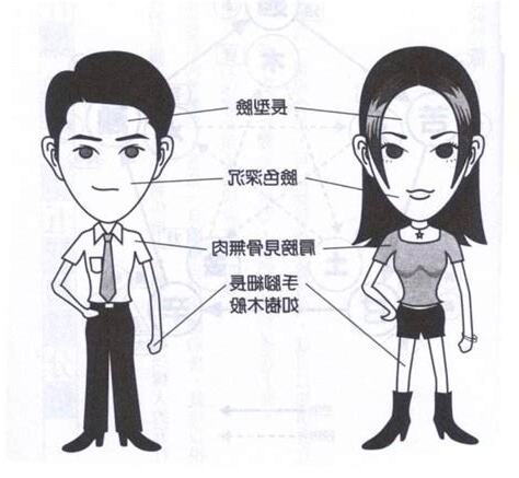 木型人 火型人